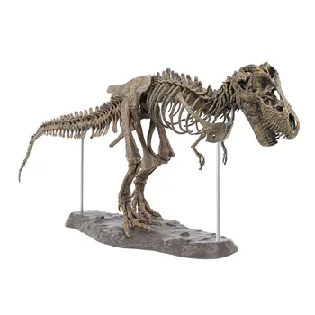 модель скелета динозавра 70 см, украшения для дома, украшения, Скелет Тираннозавра, супер Динозавр, игрушки для коллекционеров, поделки, товары для дома